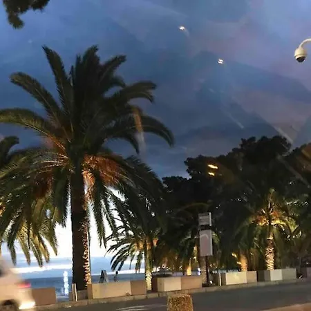 La Lumiere Du Matin Dans Le Nid Blanc * Menton