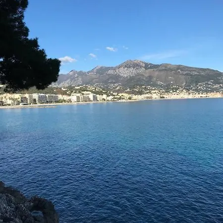 La Lumiere Du Matin Dans Le Nid Blanc
